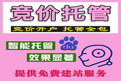 SEM代运营服务公司案例：打造高质量广告内容